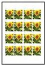 CANON PIXMA MG6150 - ■ Impression de photos dans divers formats - 1
