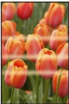 CANON PIXMA MP240 - Les couleurs sont inégales ou striées - 1