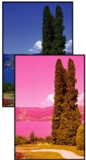 CANON PIXMA MP240 - Guide d'utilisation avancée - 2