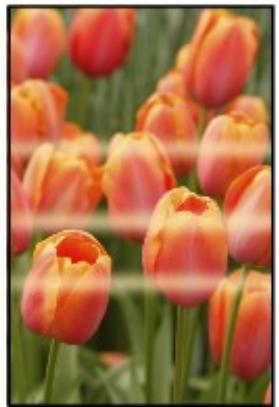 CANON PIXMA MP495 - Les couleurs sont inégales - 1
