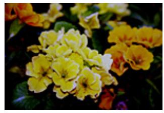CANON PIXMA MP495 - Luminosité - 2