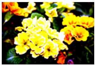 CANON PIXMA MP495 - Contraste - 4