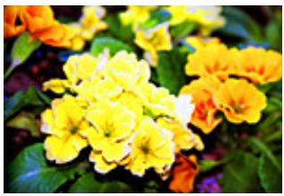 CANON PIXMA MP495 - Saturation - 4