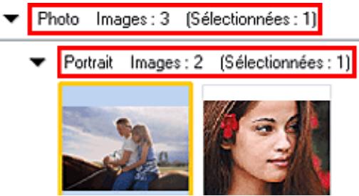 CANON PIXMA MP495 - Remarque - 1