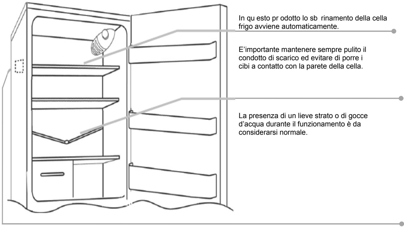 CANDY CCOLS 5142WH - SBRINAMENTO E CONGELAMENTO - 1