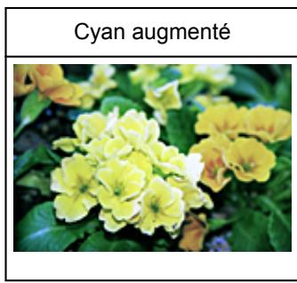 CANON PIXMA MG5650 - Équilibre des couleurs - 2
