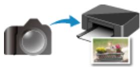 CANON PIXMA MG5650 - Impression - 4