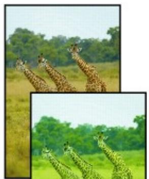 CANON PIXMA MG5650 - Aucun résultat d'impression/L'impression est floue/Les couleurs ne sont pas fidèles/Traces blanches - 4