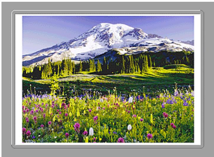 CANON PIXMA MG5650 - Zone d'aperçu - 3