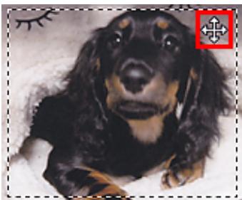 CANON PIXMA MG5650 - Ajustement d'un cadre de découpe - 2