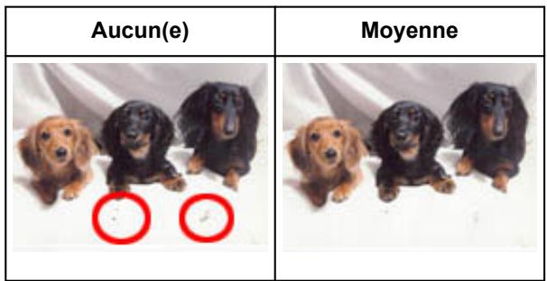 CANON PIXMA MG5650 - Réduction de la poussière et des imperfections - 1