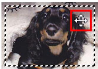 CANON PIXMA MG5650 - Ajustement d'un cadre de découpe - 2