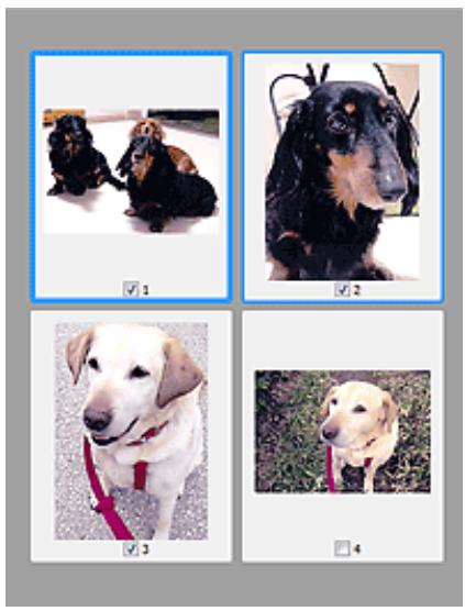 CANON PIXMA MG5650 - Lorsque l'icône (Miniature) est affichée dans la barre d'outils : - 1