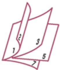 CANON PIXMA MG5650 - Impression de brochure - 1