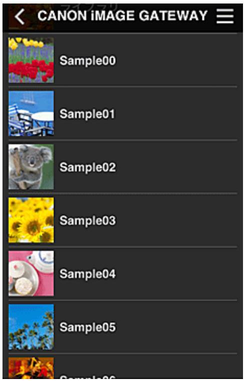 CANON PIXMA MG5650 - Remarque - 2