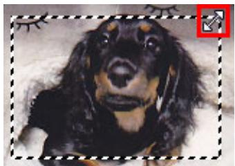 CANON PIXMA MG5650 - Ajustement d'un cadre de découpe - 1