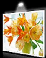 CANON PIXMA MG5650 - Manuel en ligne - 3