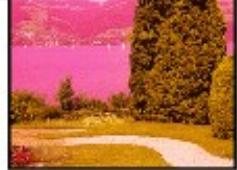 CANON PIXMA MG5650 - Aucun résultat d'impression/L'impression est floue/Les couleurs ne sont pas fidèles/Traces blanches - 3