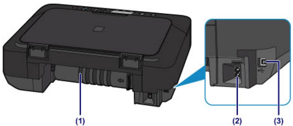 CANON PIXMA MG5650 - Face arrière - 1