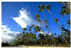 CANON PIXMA MG5650 - Réglage de l'intensité - 1