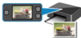 CANON PIXMA MG5650 - Impression - 2