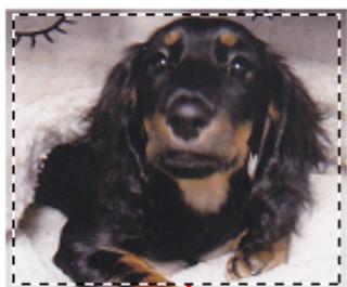 CANON PIXMA MG5650 - Types de cadres de découpe - 2