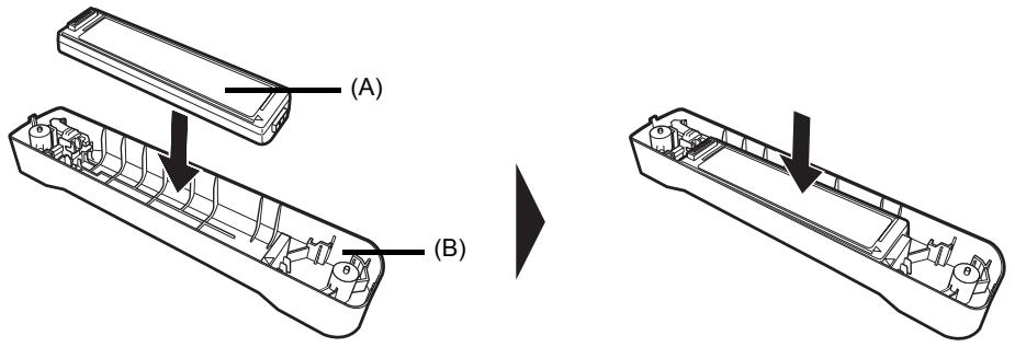 (A) (B)