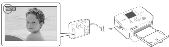CANON SELPHY CP760 - 1 - 2