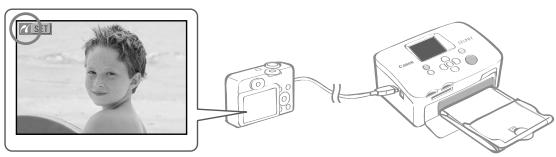 CANON SELPHY CP760 - Tænd først for printeren og derefter for kameraet. Bladr tilbage i billederne med kameraet. - 1