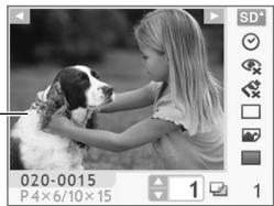 CANON SELPHY CP760 - Page Layout/Sidelayout - 4