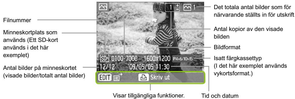 CANON SELPHY CP790 - Lär kännadin SELPHY - 2