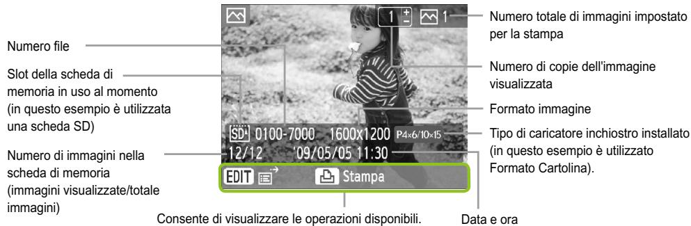 CANON SELPHY CP790 - Nozioni di base sulla stampante SELPHY - 2
