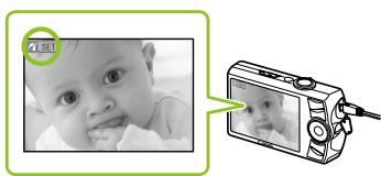 CANON SELPHY CP790 - Stampa da una fotocamera digitale - 5