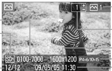 CANON SELPHY CP790 - Información que aparece en la pantalla - 1
