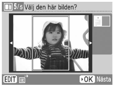 CANON SELPHY CP790 - 7 - 1