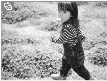 CANON SELPHY CP790 - 2 - 1