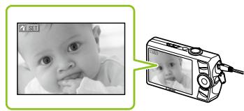 CANON SELPHY CP790 - Drucken von Bildern über ihre Digitalkamera - 5