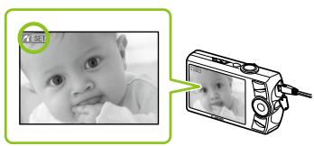 CANON SELPHY CP790 - Afdrukken vanaf uw digitale camera - 5