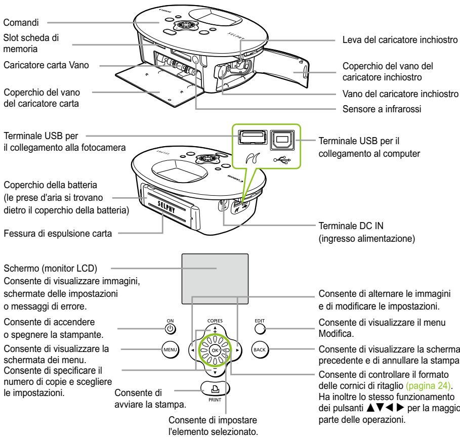 CANON SELPHY CP790 - Nozioni di base sulla stampante SELPHY - 1