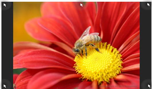 ASUS P302LA-FN0022G - Hotspots in einer laufenden App - 1