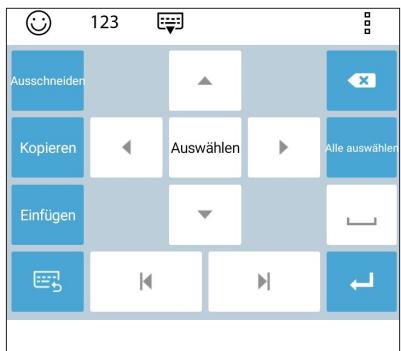ASUS ZENFONE 4 MAX PLUS - Texte bearbeiten - 2