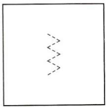 SINGER SMART 2 - F Fermetre et ganse - 3