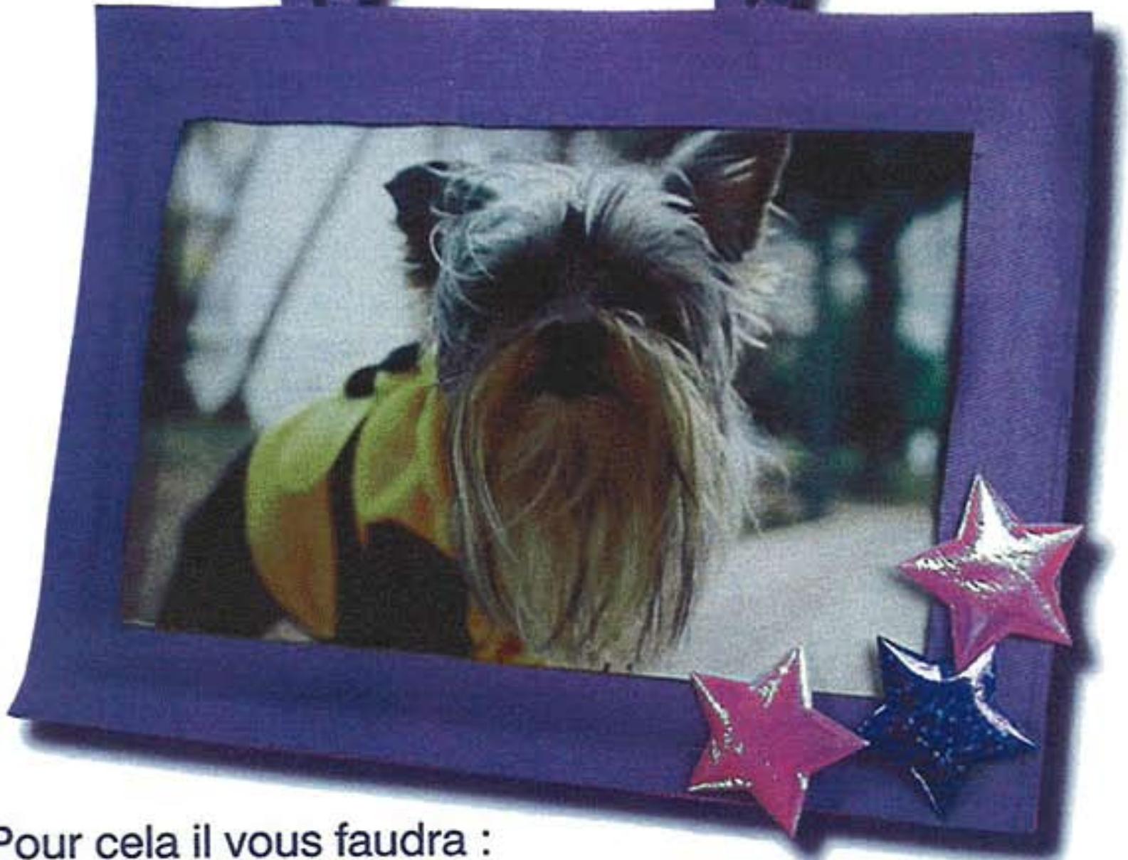 SINGER TRADITION 2259 - Cadre photo - 1