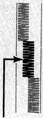 SINGER 720 - Adjusting Width of Design - 5