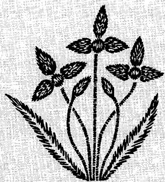 SINGER 720 - script lettering - 3