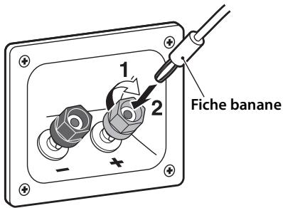 YAMAHA NS-F140, NS-F150 - Utilisation d'une fiche banane - 1