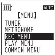 YAMAHA POCKETRAK W24 - Réglage des options de menu - 3