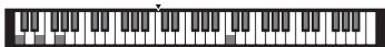 YAMAHA PSR-E253/YPT-255 - Affichage du clavier - 1