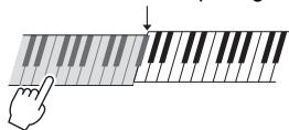 YAMAHA PSR-E443 - NOTE - 3