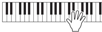 YAMAHA PSR-E443 - Jouez une ou plusieurs notes au clavier pour lancer la fonction Arpeggio. - 1